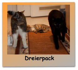 Dreierpack