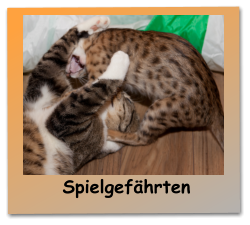 Spielgefhrten