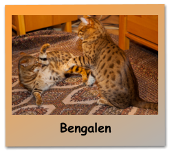 Bengalen